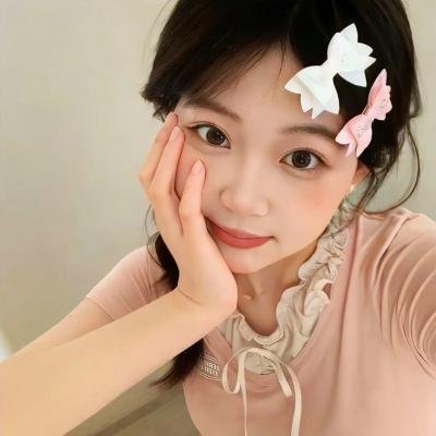 完美的独裁国家